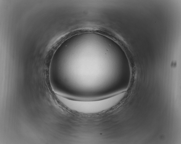 X0000111951448200907271425