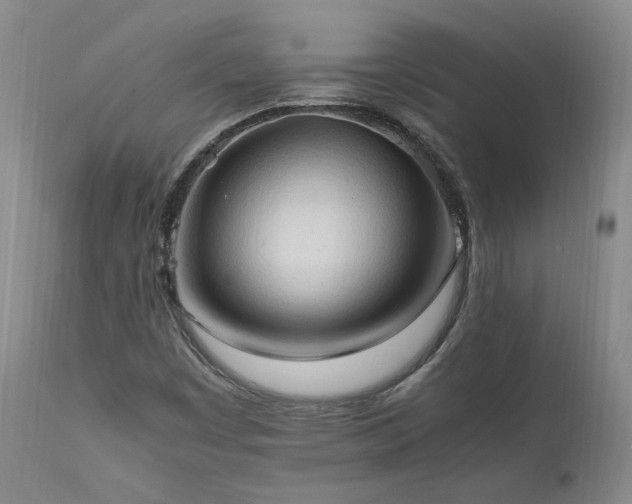 X0000111951449200907271425