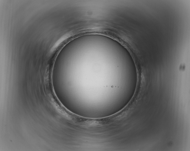 X0000111951450200907271425