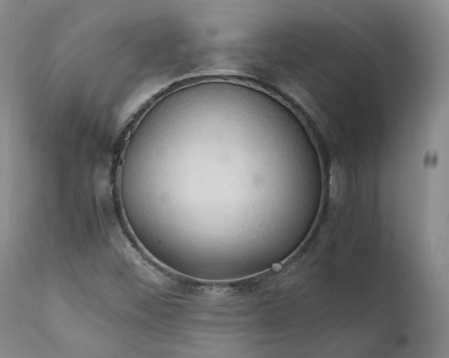 X0000111951452200907271425