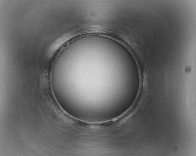 X0000111951453200907271425