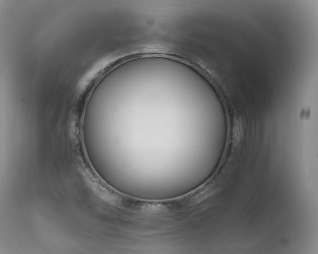 X0000111951454200907271425