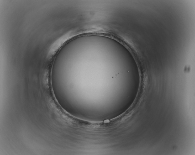 X0000111951455200907271425