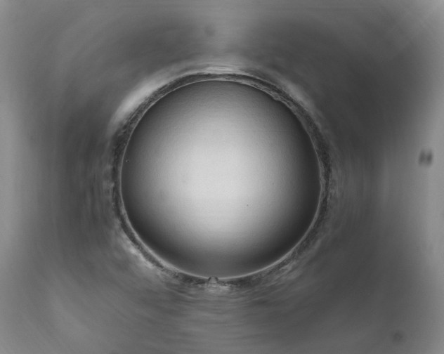 X0000111951456200907271425