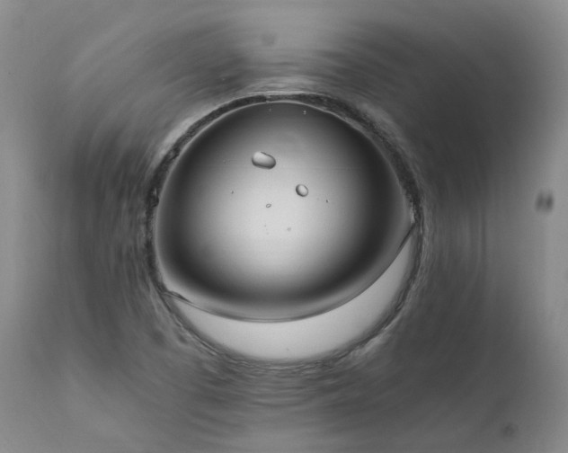 X0000111951457200907271425