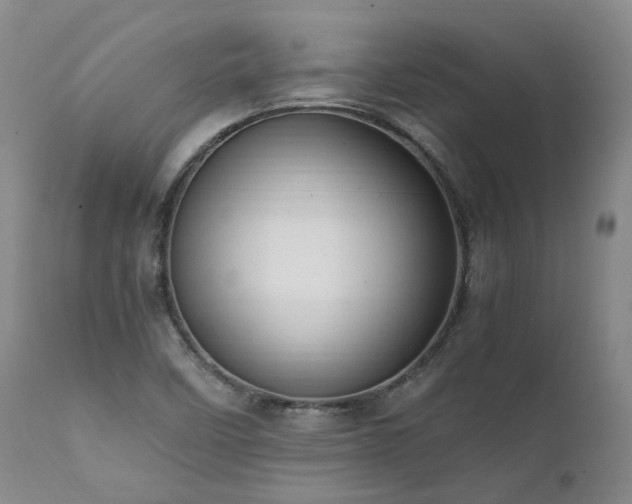 X0000111951458200907271425