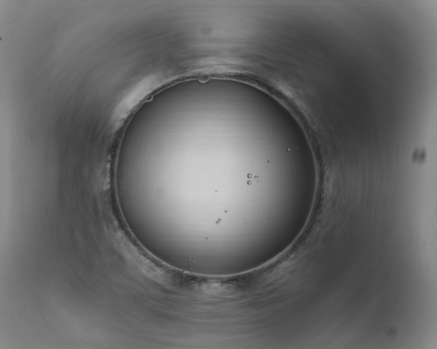 X0000111951459200907271425