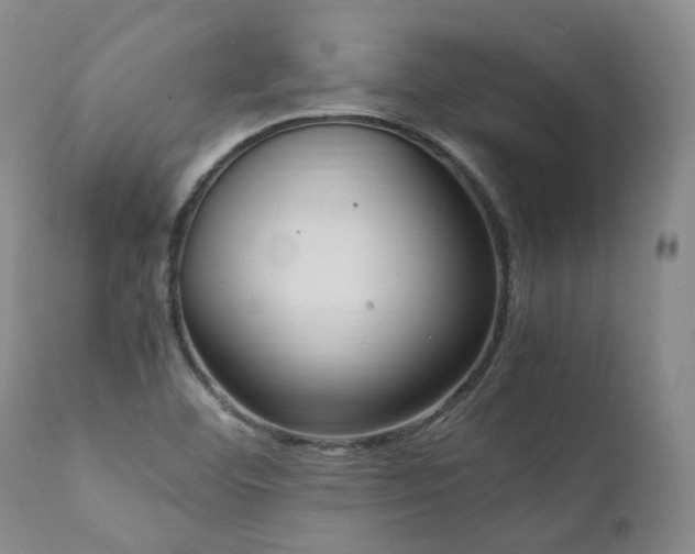 X0000111951460200907271425