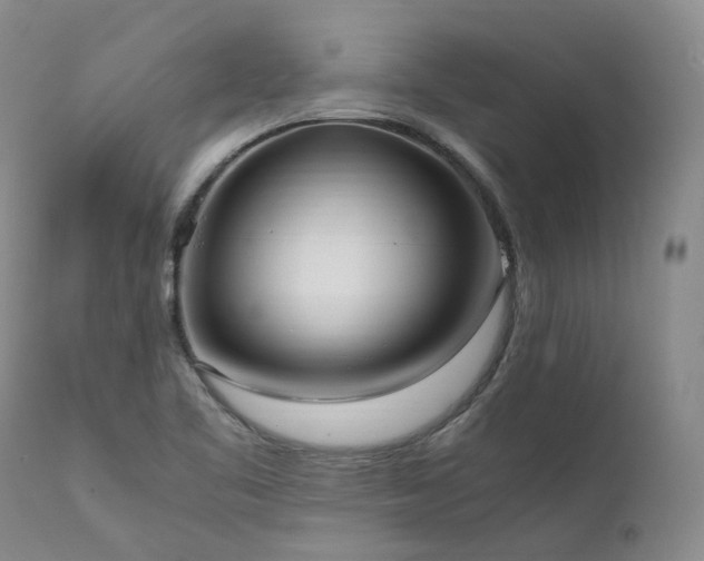 X0000111951461200907271425