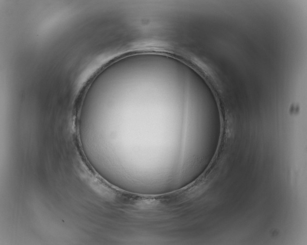 X0000111951462200907271425