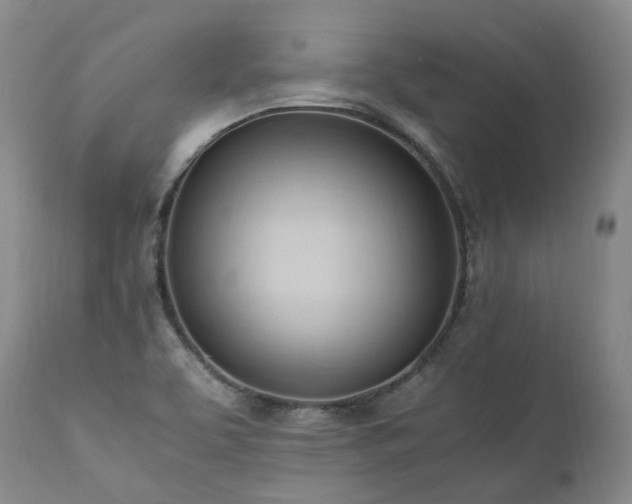 X0000111951463200907271425