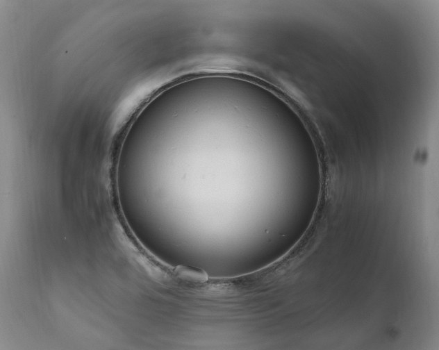 X0000111951464200907271425