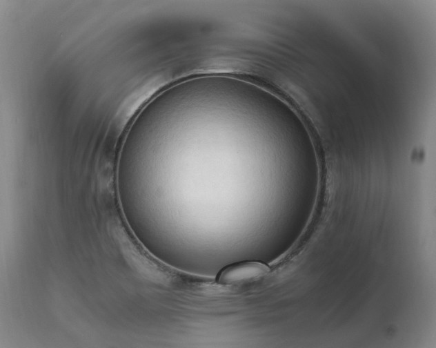 X0000111951465200907271425