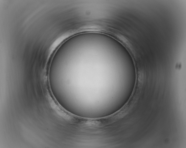 X0000111951466200907271425