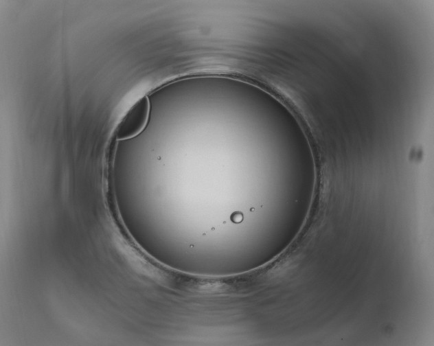 X0000111951467200907271425