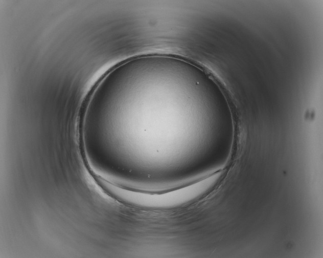 X0000111951468200907271425