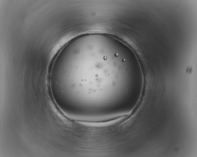 X0000111951469200907271425