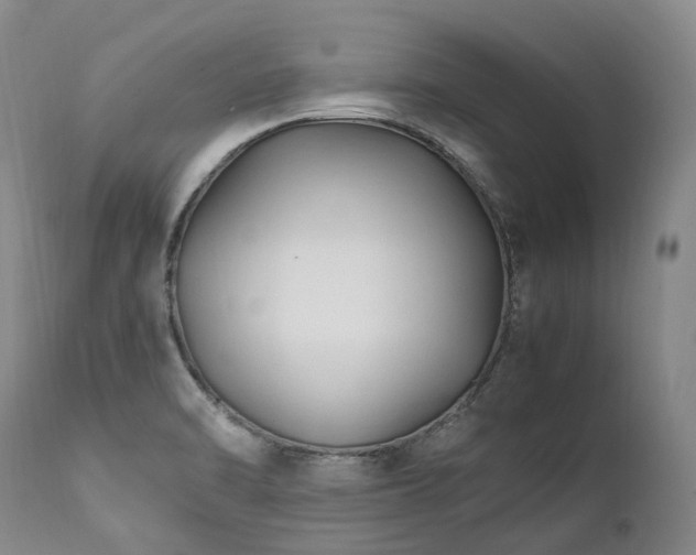 X0000111951470200907271425