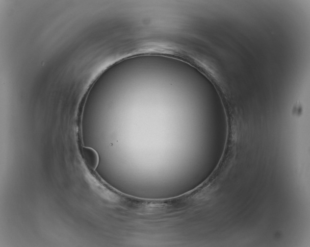 X0000111951471200907271425