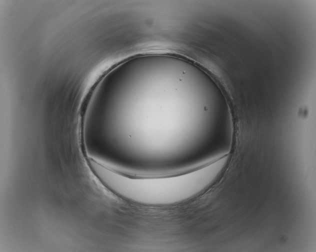 X0000111951472200907271425