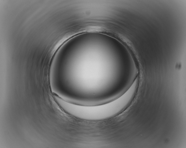 X0000111951473200907271425