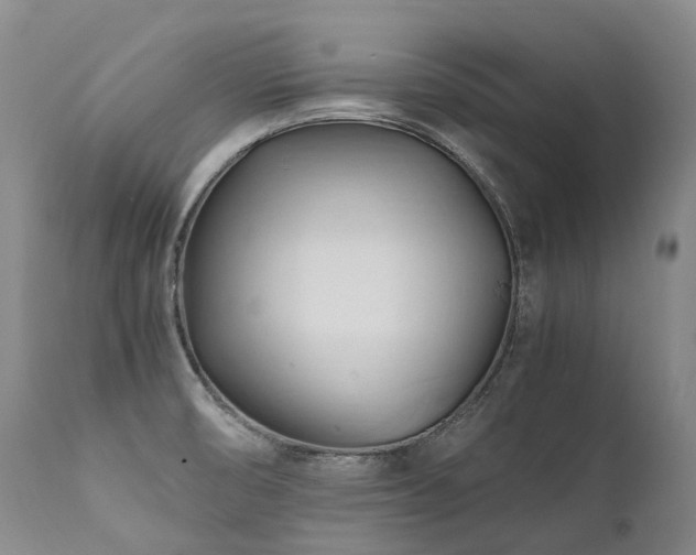 X0000111951474200907271425