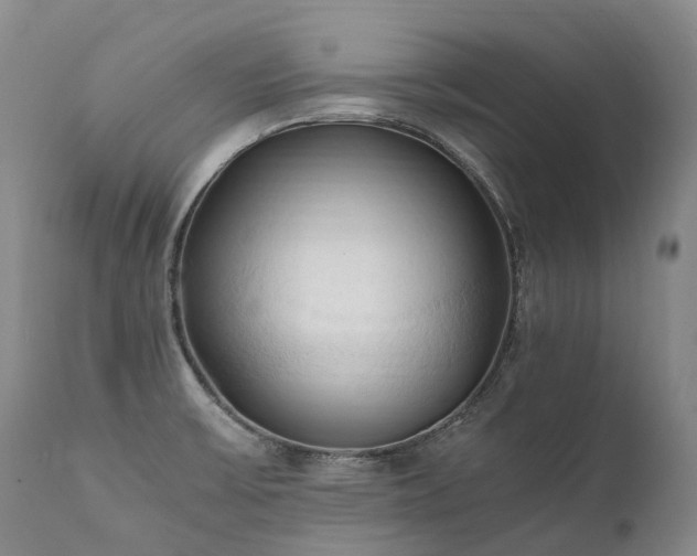X0000111951475200907271425