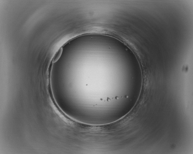 X0000111951479200907271425
