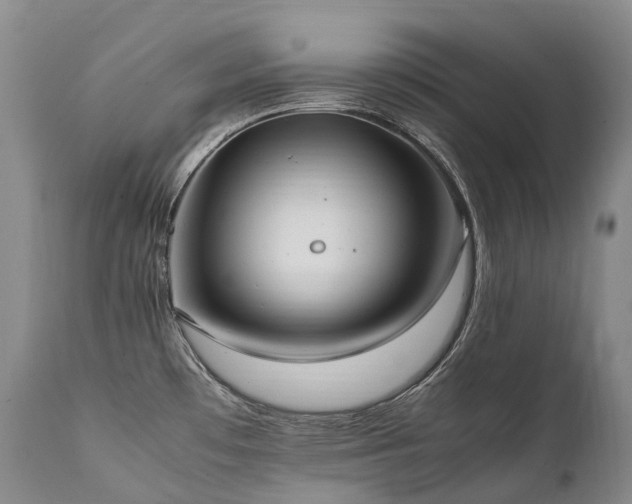 X0000111951481200907271425