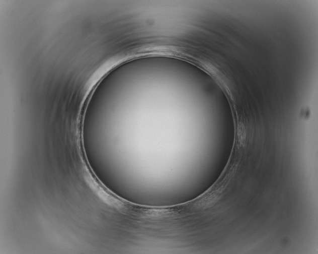 X0000111951482200907271425