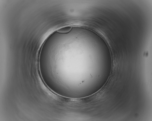 X0000111951483200907271425