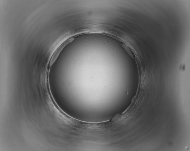 X0000111951484200907271425