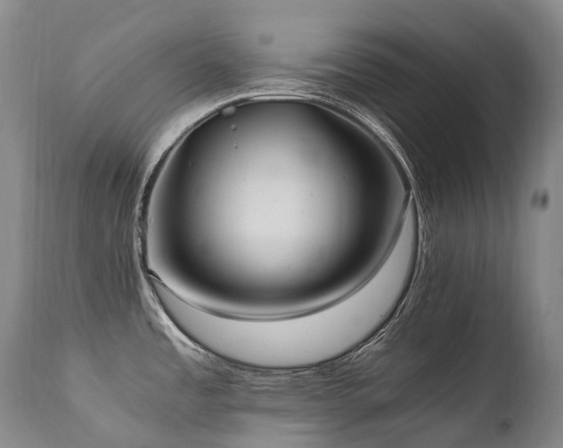 X0000111951485200907271425
