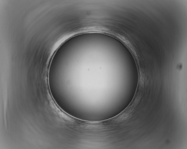 X0000111951486200907271425