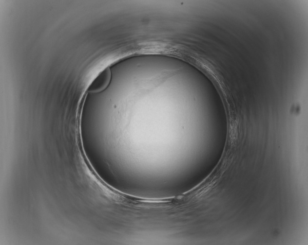 X0000111951487200907271425