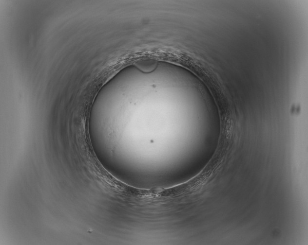 X0000111951489200907271424