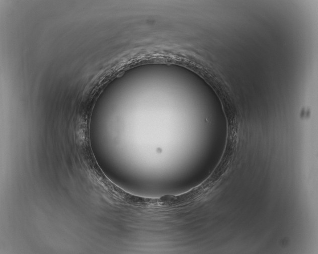 X0000111951490200907271424