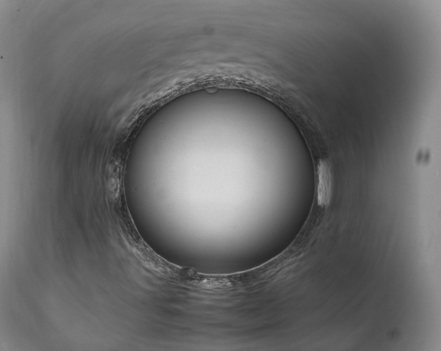 X0000111951491200907271424