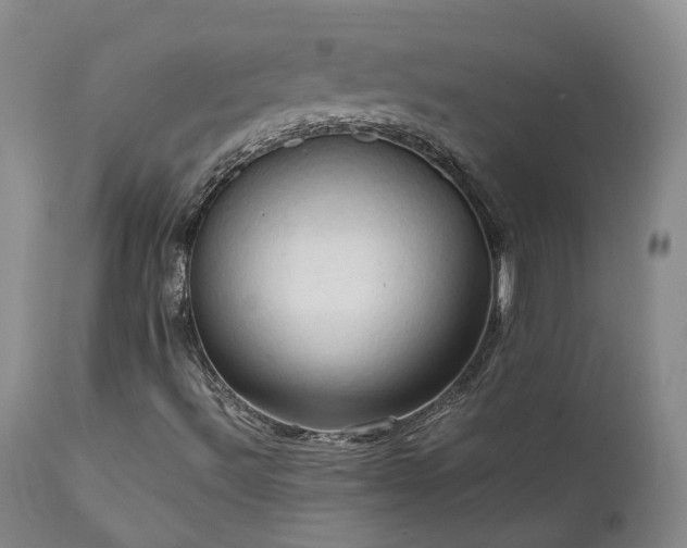X0000111951492200907271424