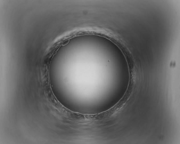 X0000111951494200907271424