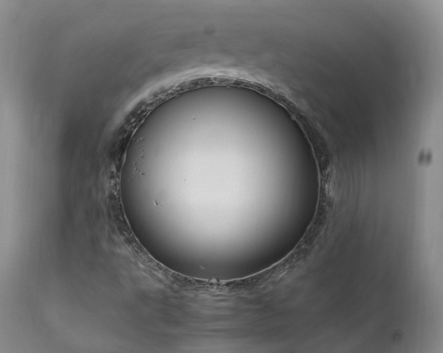 X0000111951495200907271424