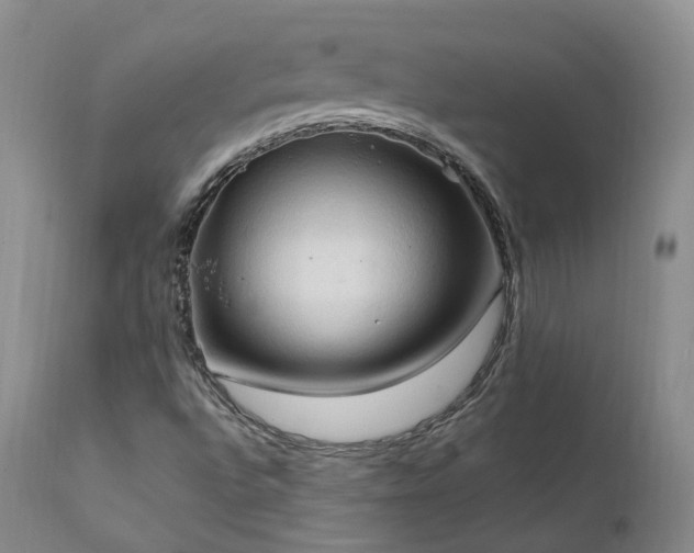 X0000111951496200907271424