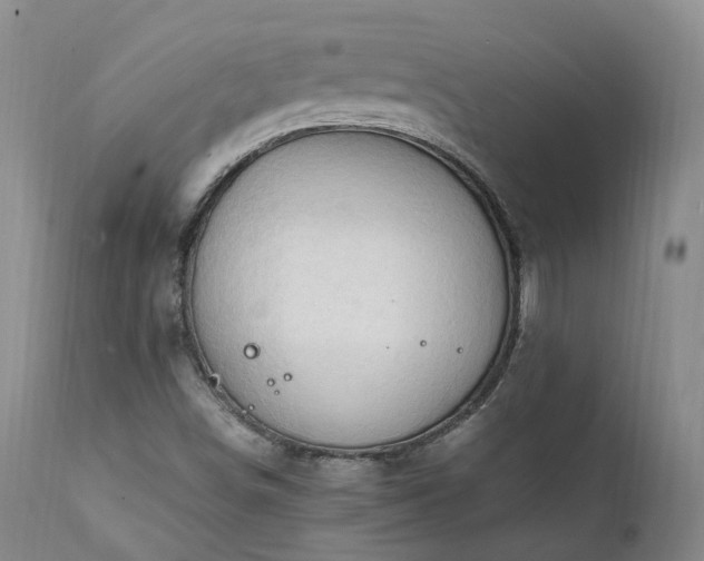 X0000111951498200907271424