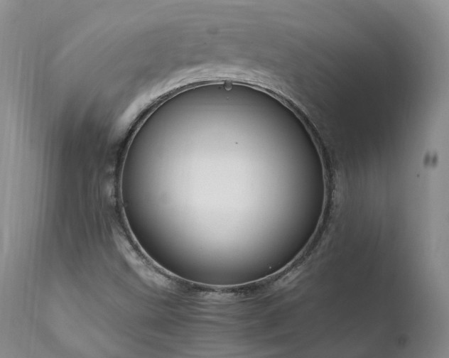 X0000111951499200907271424