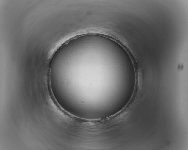 X0000111951500200907271424
