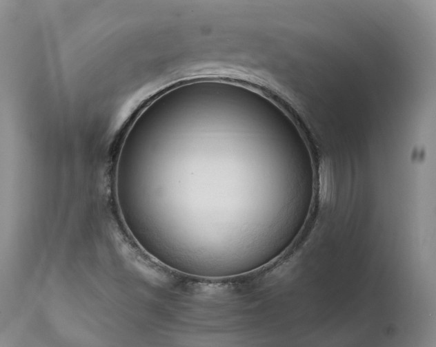 X0000111951501200907271424