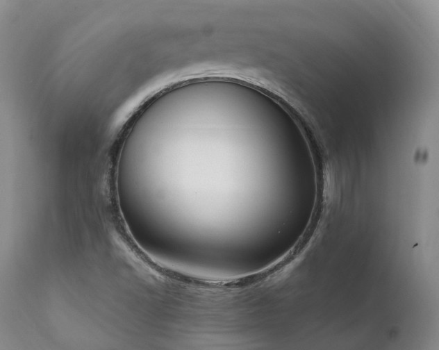 X0000111951502200907271424