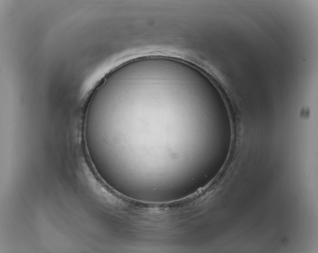 X0000111951504200907271424