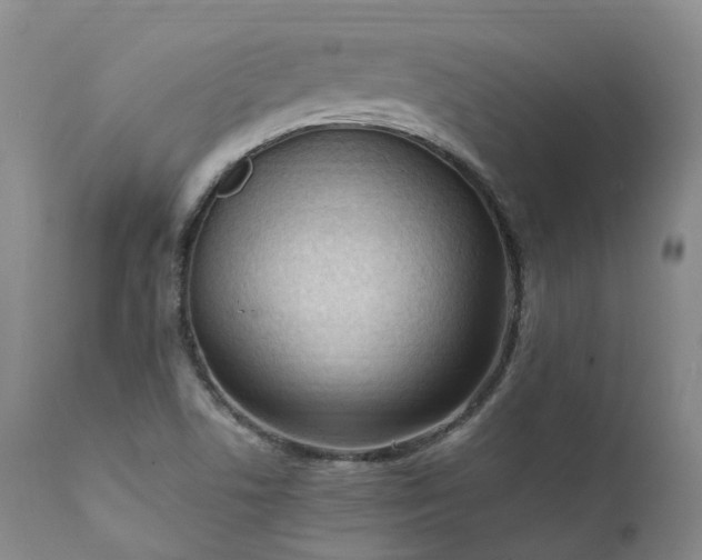 X0000111951506200907271424
