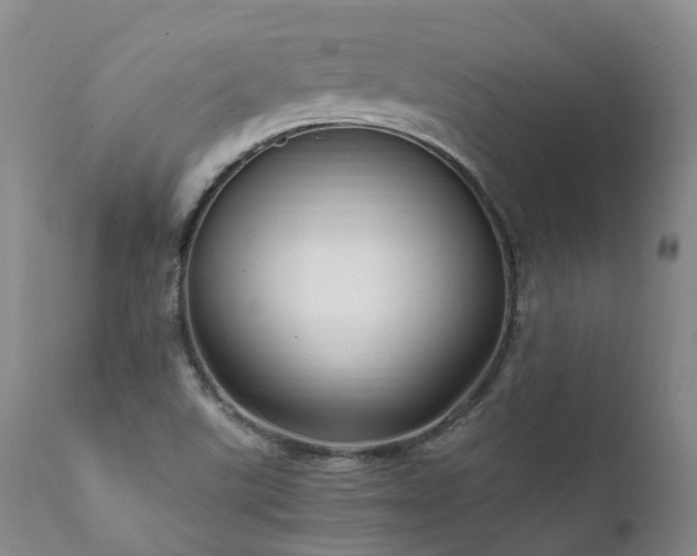 X0000111951507200907271424